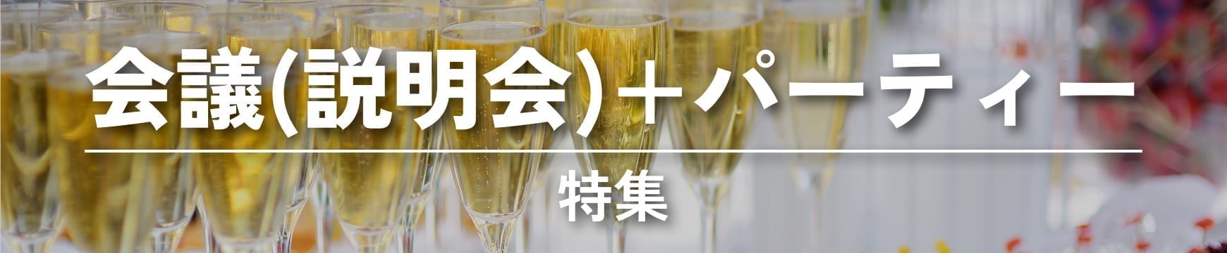 会議(説明会)+パーティー特集